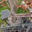 #4058-•-ladder-tree-stand-image-2