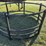 poly-hay-bale-feeder-ring-image-1