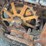 caterpillar-thirty-image-9