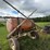 #4032-•-manawa-sprayer-image-8