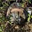 #3545-•-28'-conveyor-image-5