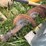 #4019-•-fred-cain-agri-digger-image-3
