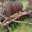 #4017-•-international-disk-image-3