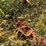 #3164-•-kory-farm-equipment-hay-wagon-image-9