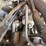 2017-wacker-neuson-g25-image-38