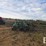 summers-mfg-supercoulter-image-2