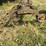 green-farm-cultivator-implement-with-tines-and-gauge-wheels-image-3