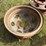 #4036-•-split-rims-image-2