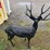 decorative-deer-statue-image-2
