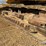 jcb-js220-lc-image-25