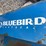 #1831-•-blue-bird-walk-behind-aerator-image-9