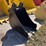 #1029-95-•-lot-1029-95-image-2