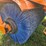 broce-rj350-image-17