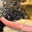 2019-caterpillar-352-image-69
