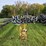 butler-pole-trailer-image-7