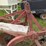 #4062-•-massey-ferguson-mow-board-plow-image-5