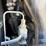 2021-jcb-3ts-8t-image-38