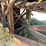 #321-•-rogers-iron-works-jaw-crusher-(west-bend,-wi)-image-29