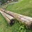 #4041-•-telephone-poles-image-3