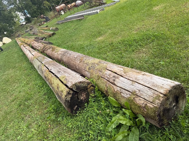 #4041-•-telephone-poles-image-3