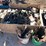 #1825-•-misc.-belts-and-mower-blades-image-1