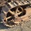 caterpillar-2-ton-image-7