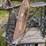 #4058-•-ladder-tree-stand-image-5