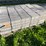 #3178-•-pallet-of-decorative-landscape-block-image-1