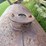 #4026-•-100-gallon-tank-image-4