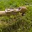 #4090-•-morspeed-cement-mixer-image-12