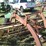 new-holland-256-image-8