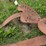#4055-•-vintage-metal-tractor-seats-image-5
