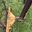#4030-•-bale-mover-image-7