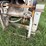 bobcat-700-image-13
