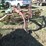 new-holland-256-image-2