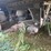2016-great-dane-53'-reefer-image-7