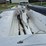 #4007-•-16'-fiberglass-sailboat-image-11