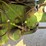 john-deere-4430-image-15