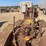 caterpillar-thirty-image-20
