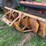 john-deere-770-image-32