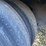2016-great-dane-53-image-8