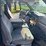 1999-ford-f350-image-8