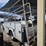 2016-ford-f350-image-4