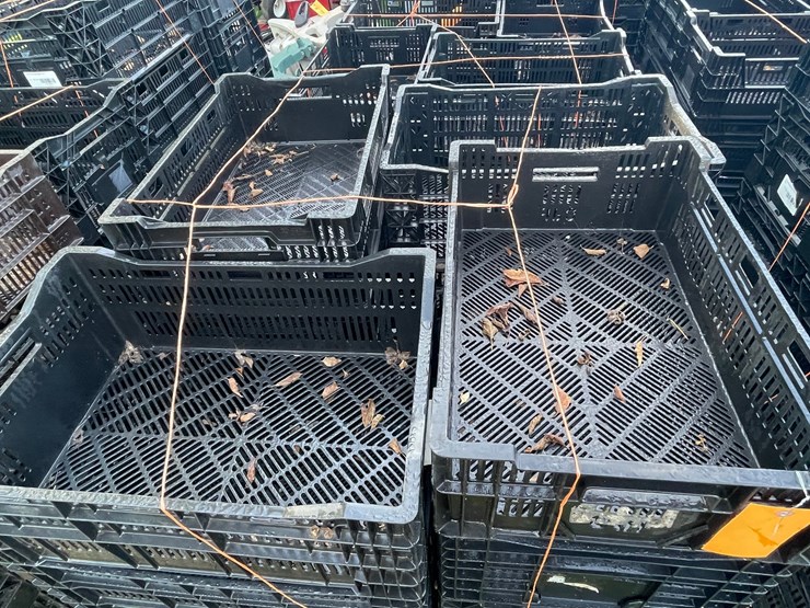 #3219-•-pallet-of-stackable-poly-crates-image-3