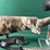 howa-mdl.1500-223-rem-rifle-image-2