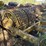 #1029-47-•-lot-1029-47-image-3