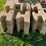 #3192-•-pallet-of-concrete-retaining-wall-blocks-image-5