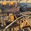 caterpillar-d2-image-16