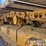 2021-caterpillar-d4-lgp-image-17