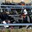 unused-2026-skid-steer-auger-drive-&-bit-attachment-...-you-are-bidding-on-two-rods-&-one-driver-image-2